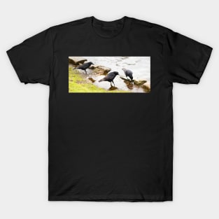 Black bird T-Shirt